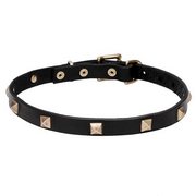 真鍮スタッズ付き 20mm 本革製 犬用首輪 真鍮スタッズ付き 20mm 本革製 犬用首輪
