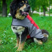 犬用ナイロンのジャケット・ハーネス 犬用ナイロンのジャケット・ハーネス