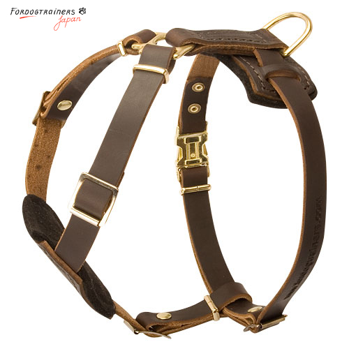 adjustable leather dog harness