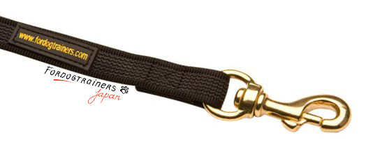 durable nylon leash