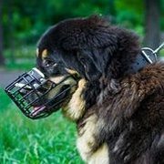 耐寒のゴム引きワイヤー製口輪(大型犬用) 耐寒のゴム引きワイヤー製口輪(大型犬用)