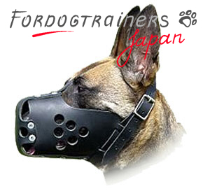 Leather muzzle for military dogs