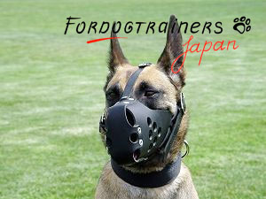 Leather dog muzzle for dog training and agitation work