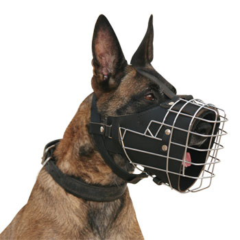 犬訓練向けのパッド付き口輪