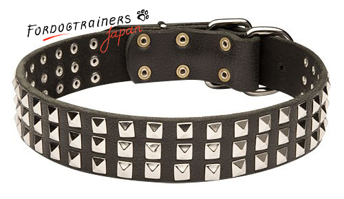 Leather studded collar for dogs