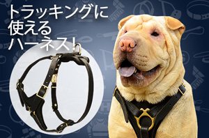 追跡・散歩向けの革の犬用ハーネス