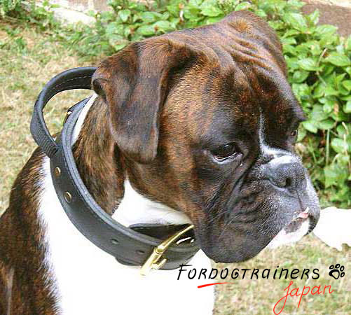 ハンドルが付いている犬訓練用首輪