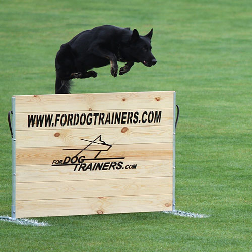 シュッツフント犬訓練用ジャンプ