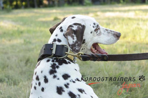 超かっこいい　金属装飾付きの本革製　犬用首輪