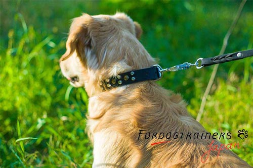 犬用首輪の販売・手作り　革製首輪