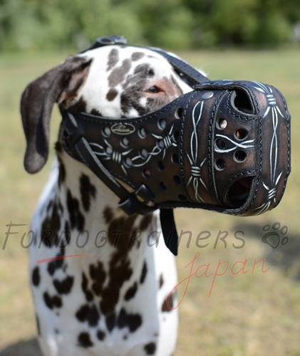 スタイリッシュな模様で装飾された犬の口輪