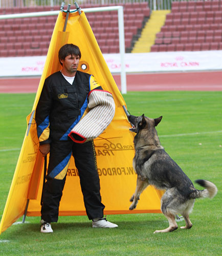 犬訓練用具、ブラインド、片袖とムチ
