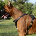 中・大型犬用革の犬用ハーネス