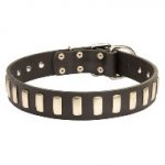 黄銅のプレート付き犬の首輪