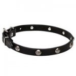 ニッケルメッキスタッズ付きの本革製の首輪