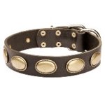 オーバルコンチョ付き　犬 首輪 革 おしゃれ