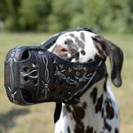 「有刺鉄線」の模様付き革製犬用口輪