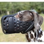 中・大型犬の訓練用革製の口輪