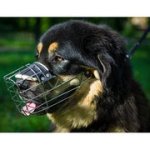 マスティフ用のバスケット型口輪