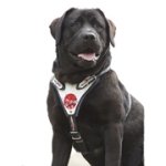 ユニークなハンドメイドアイテム！中～大型犬用本革製ハーネス