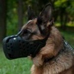 犬のプロ訓練用の口輪（革製）