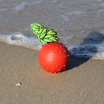 ひも付き天然ゴム製ボール (6 cm)