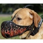 中・大型犬用革製デコ・マズル