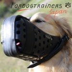 ゴールデンレトリーバーの訓練用本革製口輪