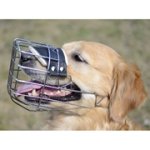 ゴールデンレトリーバー用バスケット型口輪
