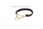 ハーフチョーク首輪　25mm