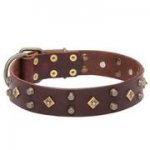 スタッズ付き犬用デコカラー【本革製】