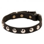 小・中型犬用スタッズ付き首輪