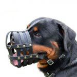 ロットワイヤー用メッシュタイプ革製口輪