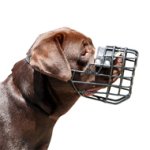 耐寒のゴム引き中・大型犬用口輪