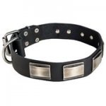 ニッケルのプレートの装飾付き革の首輪