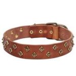 ブラスのスタッズ付き犬用デコカラー