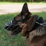 ワイヤー製口輪（シェパード用）