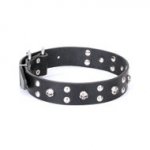 FDT ARTISAN 'Mystic Skulls' デザインカラー