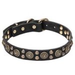 真鍮コンチョ＆スタッズ付き　革製首輪