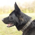 スパイク・スタッズ付き本革のジャーマン・シェパード・ドッグ用首輪