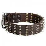 ニッケルスパイク付　本革製首輪