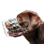 中・大型犬用ワイヤー製バスケット型口輪