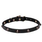 真鍮めっきスタッズ付き本革製首輪