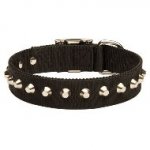 コニカルスタッズ付きナイロンの犬の首輪