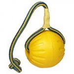 紐付きフォーム製犬用おもちゃ（大）