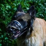 耐寒のゴム引きのワイヤー製口輪（中・大型犬用）