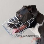 ピットブル用バスケット型口輪