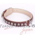 大型犬の首輪　革製　ユニクなコンチョ付き　ナチュラル色