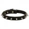 Leather Dog Collar Decorated with 1 Row of Spikes