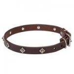 犬の散歩用デコ首輪（革製）